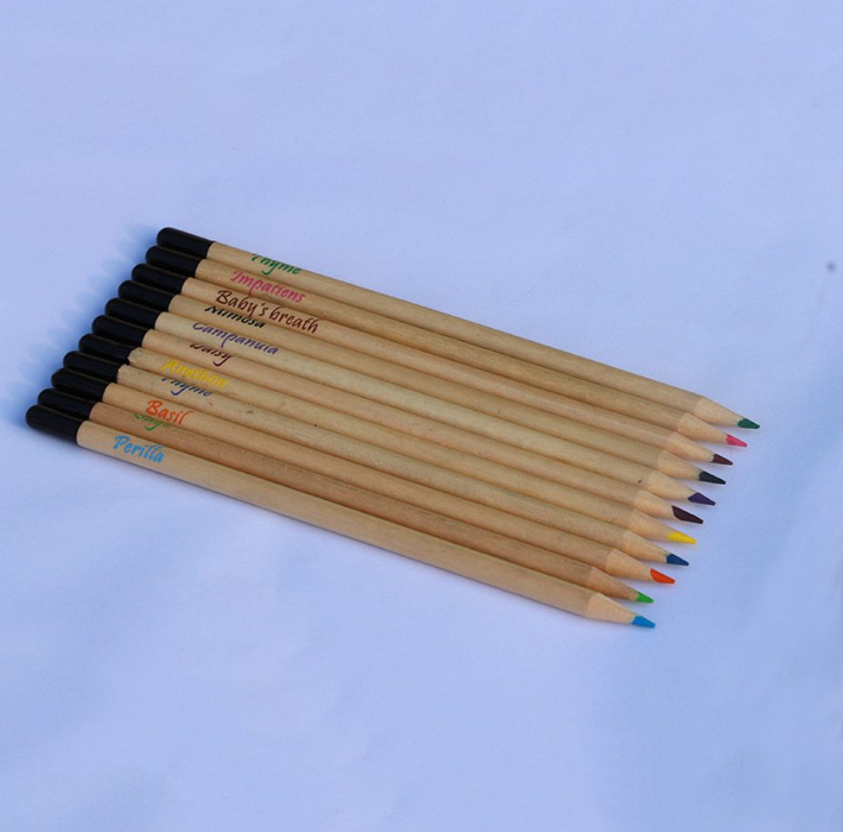 seed colored pencil